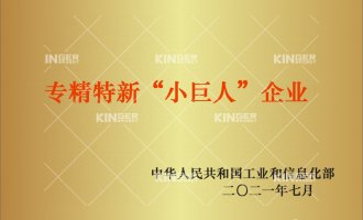 【喜报】再添重磅声誉！尊龙凯时机械人入选国家工信部专精特新“小巨人”企业